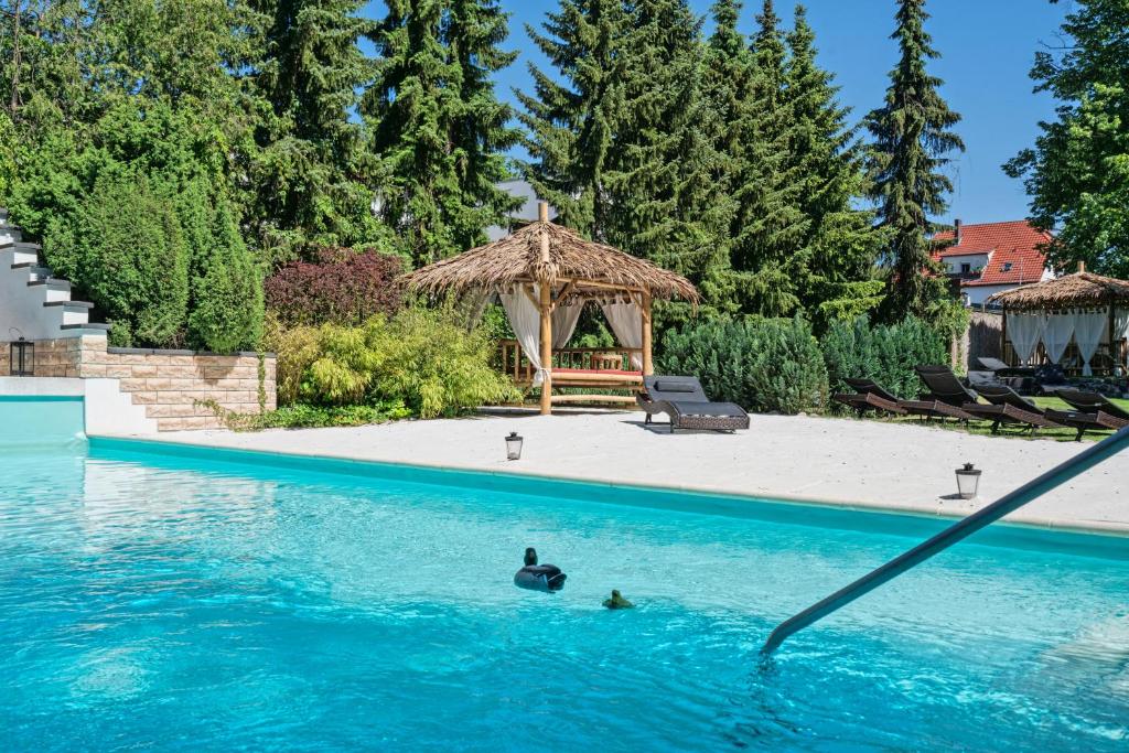 a person swimming in a swimming pool with a gazebo at HOLI DAY SPA Appartement 2 in Berlin