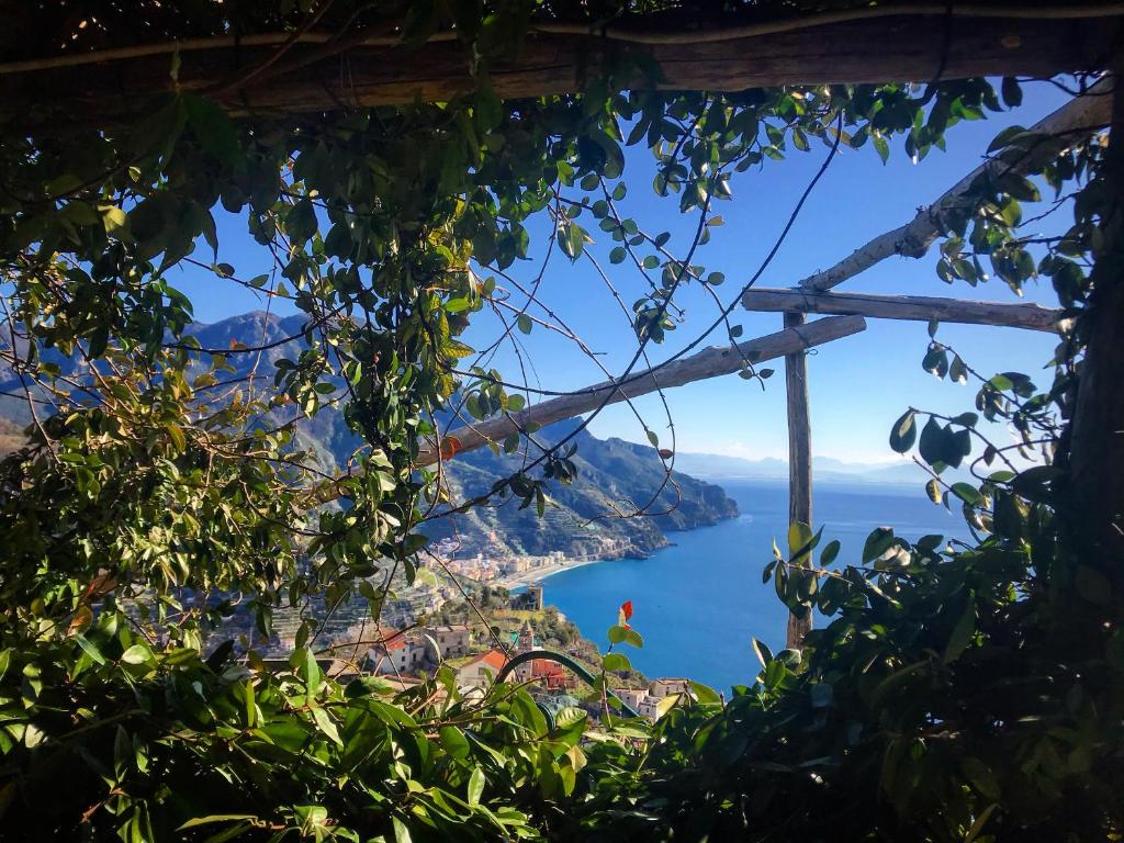 a view of the amalfi coast from a tree at Ravello Views Apartment in Ravello