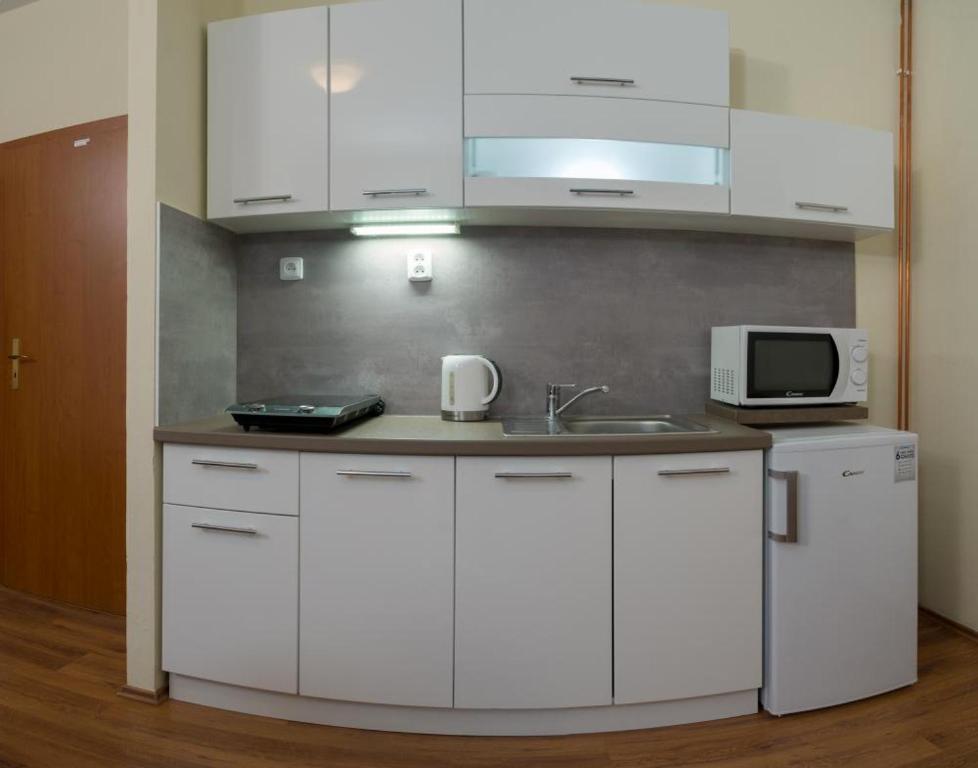 Kuchyň nebo kuchyňský kout v ubytování Apartmány Divoký Anděl