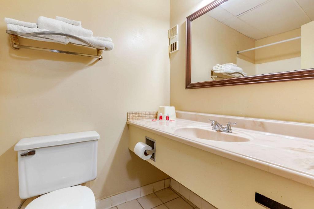 Koupelna v ubytování Econo Lodge Burlington I-40