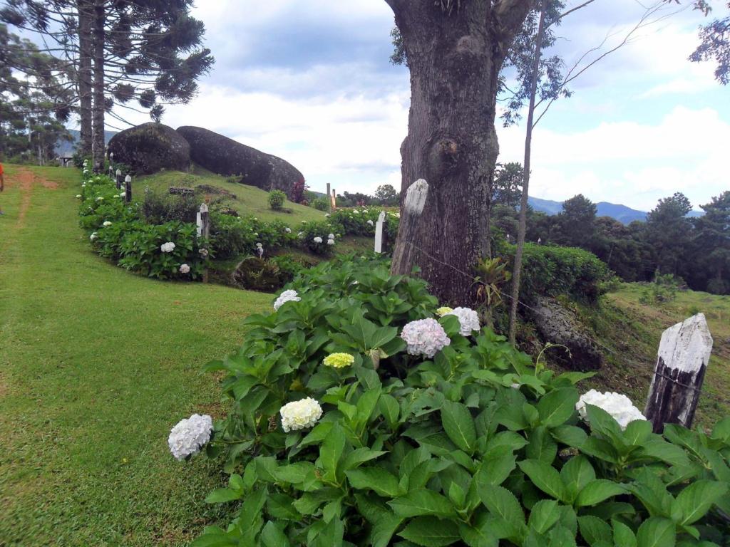  Fazenda Monte Verde A Morada do Muriqui