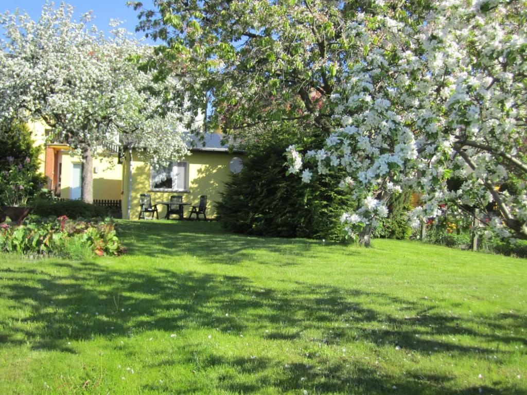 a yard with a flowering tree and a house at Ferienhaus am Schilfgürtel in Röbel