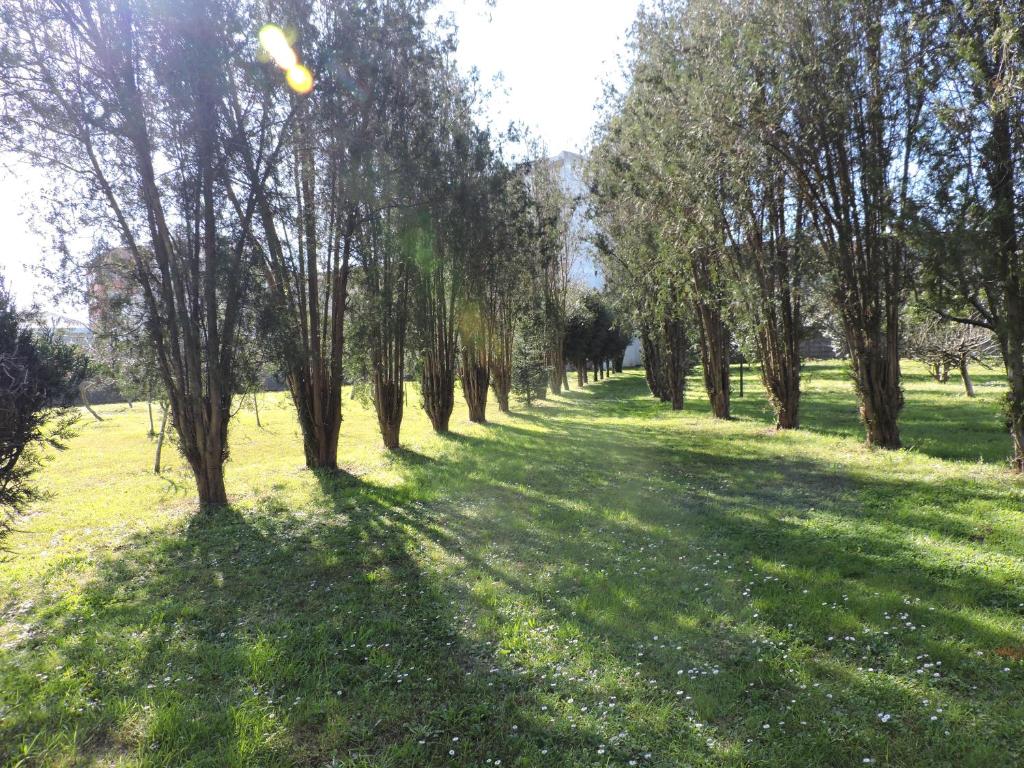 Albergue Pallanes - 11