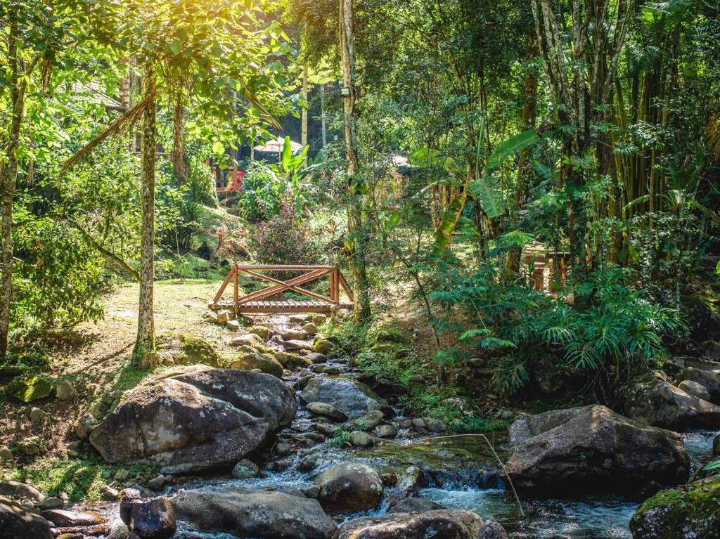 Espaço Viverde Penedo