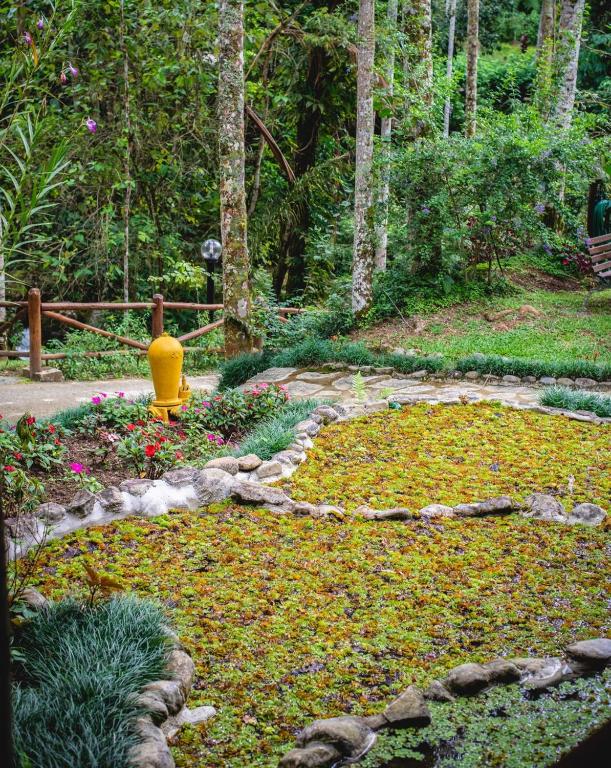  Espaço Viverde Penedo