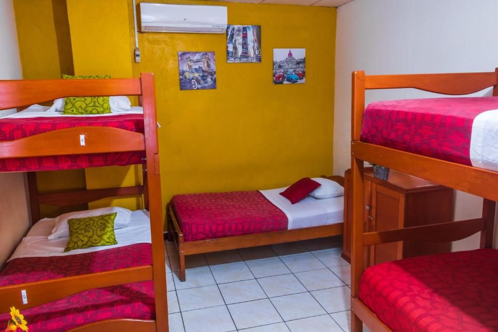 Postel nebo postele na pokoji v ubytování Flying Dog Hostel Iquitos