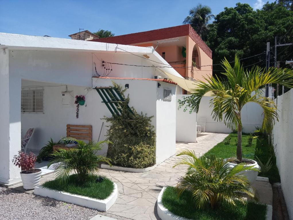  Pousada JARDIM TROPICAL
