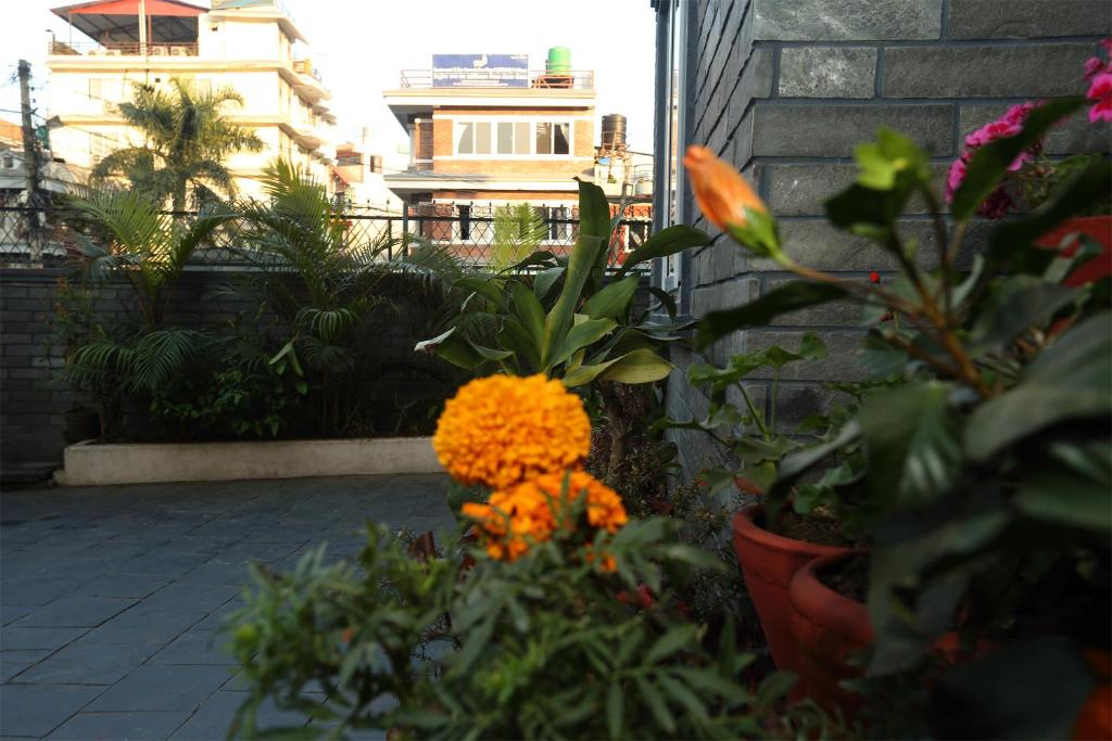 Giardino di Hotel Tulip Pokhara Inn