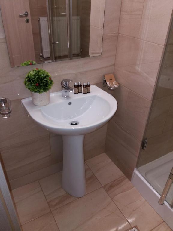 Park Luxury Rooms - Twin Room
