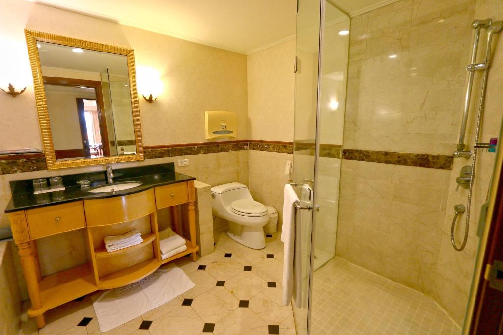 a bathroom with a shower and a toilet and a sink at Rido Hotel in Taipei