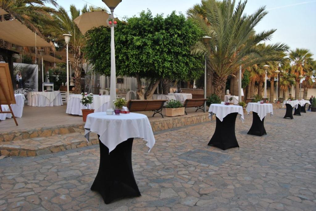 El Eden, El Ejido – Updated 2022 Prices