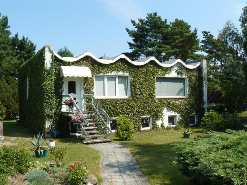 a house covered in ivy with a staircase in the yard at Ferienwohnung Welle in Freest