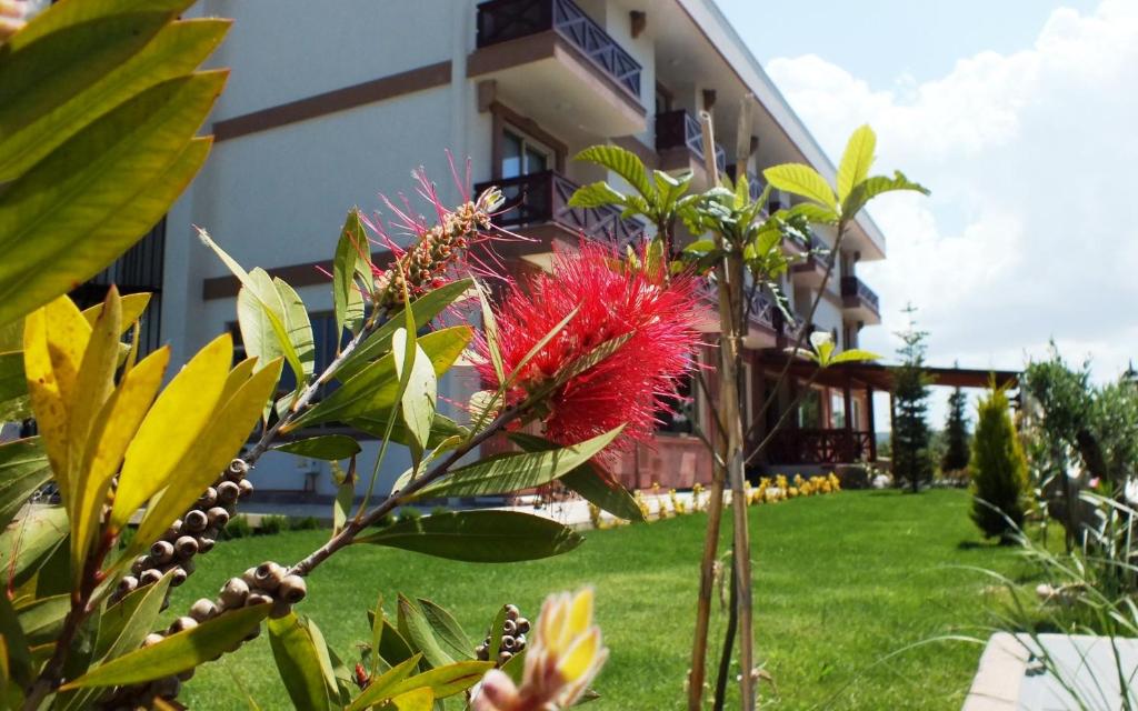 Zahrada ubytování Helen Troya Hotel Geyikli