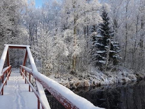 Lövånger Kyrkstad v zimě
