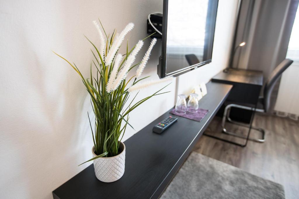 Fotografie z fotogalerie ubytování A-Sport Hotel v destinaci Brno