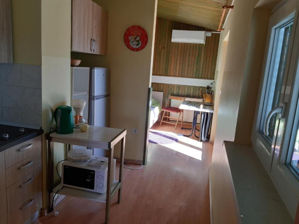 Kuchyň nebo kuchyňský kout v ubytování Apartments and Rooms Knez