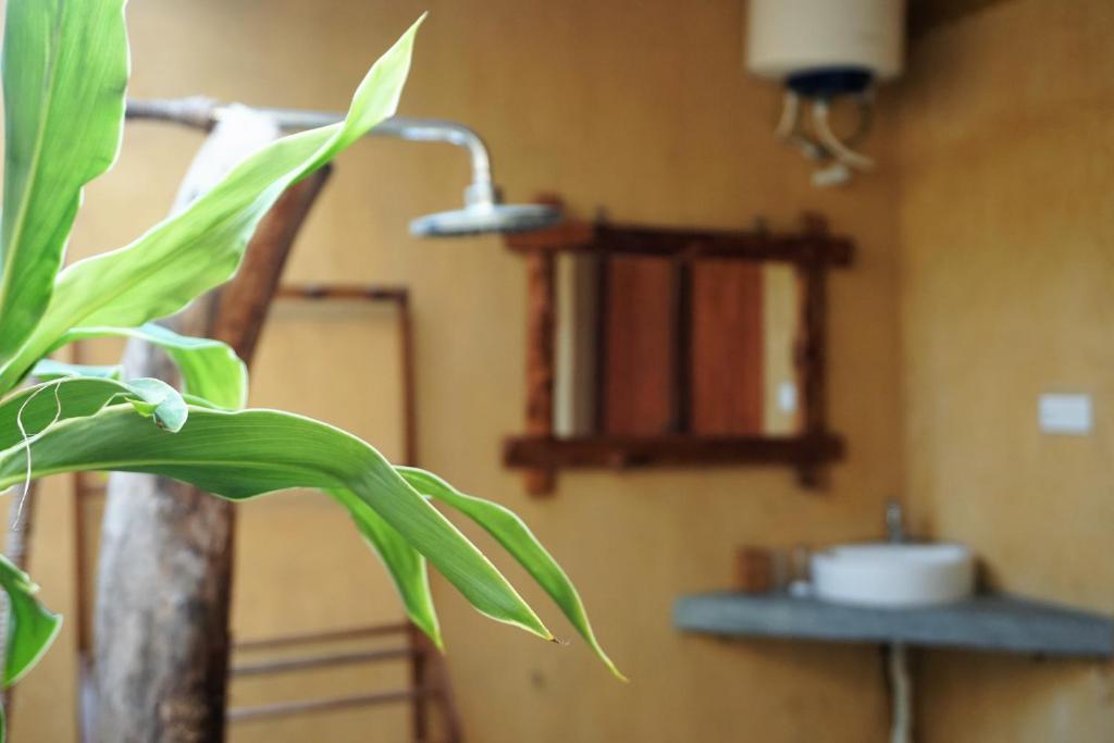 Kitelantis Hotel and Resort - 13