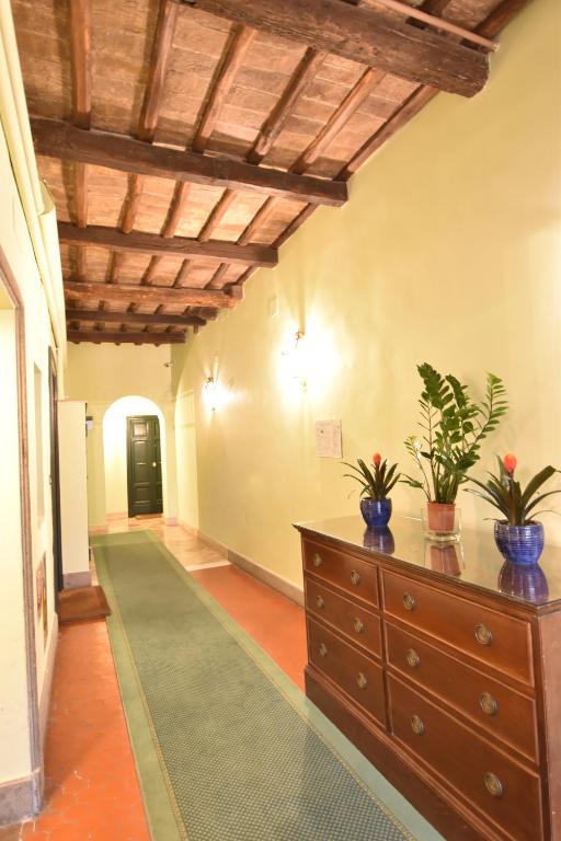 Babuino 79 - Resim 17