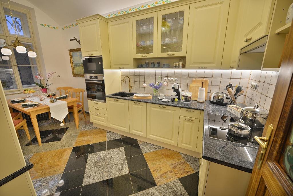 Kuchyň nebo kuchyňský kout v ubytování Apartman Dalia Janáčkovo nábřeží