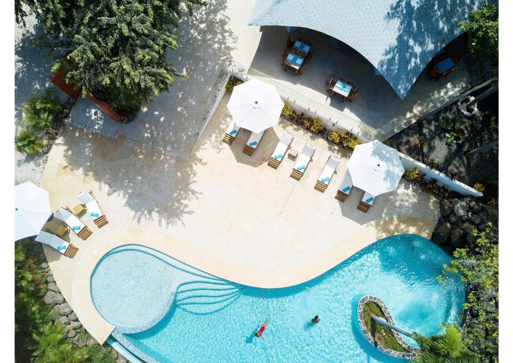 an overhead view of a swimming pool with chairs and umbrellas at Mikado Natural Lodge in Playa Avellana