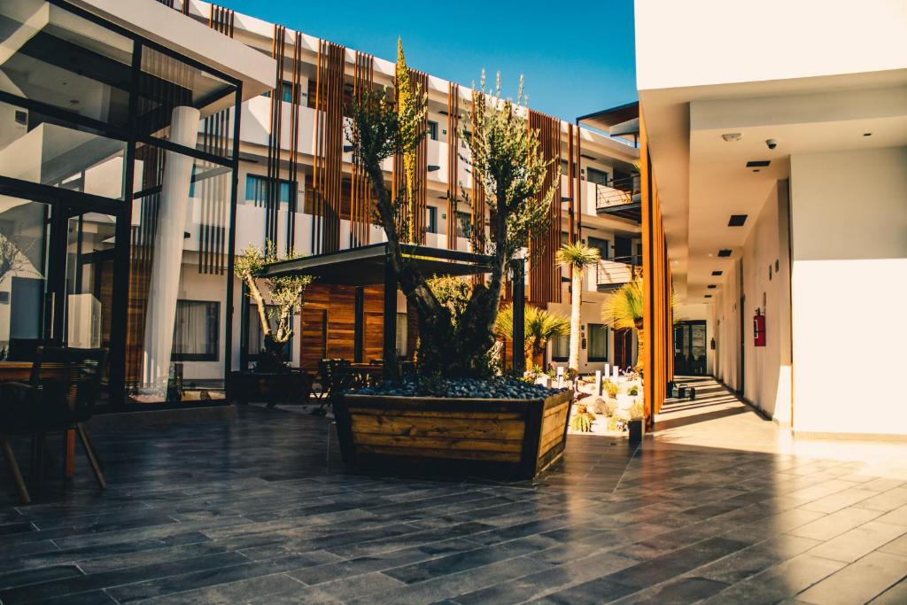 un bâtiment avec une grande plante en pot dans une cour dans l'établissement HOTEL MINA REAL MATEHUALA, à Matehuala