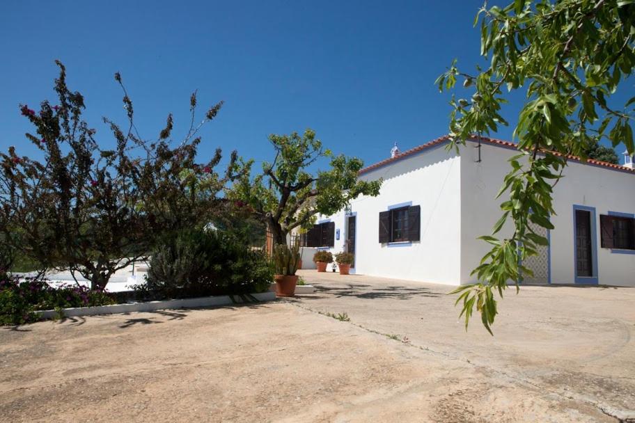 ein weißes Gebäude mit Bäumen davor in der Unterkunft Cozy Algarve Home with Vineyard View Near Beaches in Porches