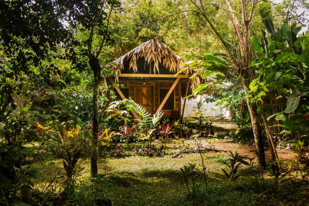 uma pequena cabana no meio de uma floresta em Wildlife Lodge Cahuita em Cahuita