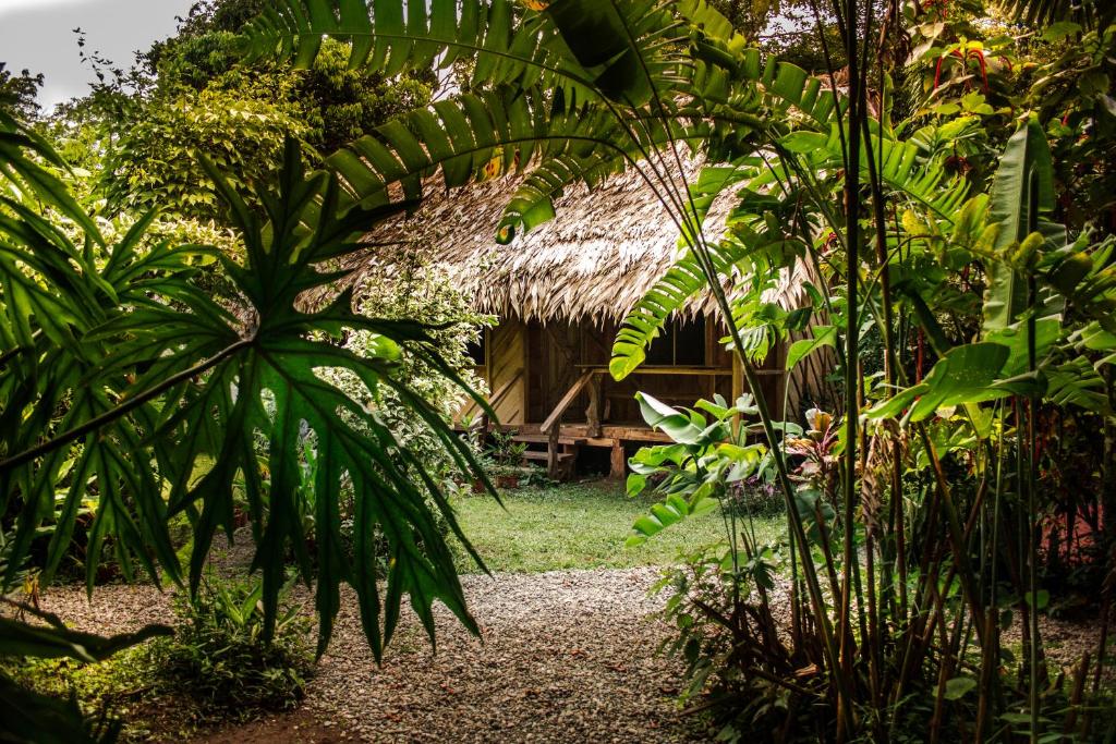 Zahrada ubytování Wildlife Lodge Cahuita