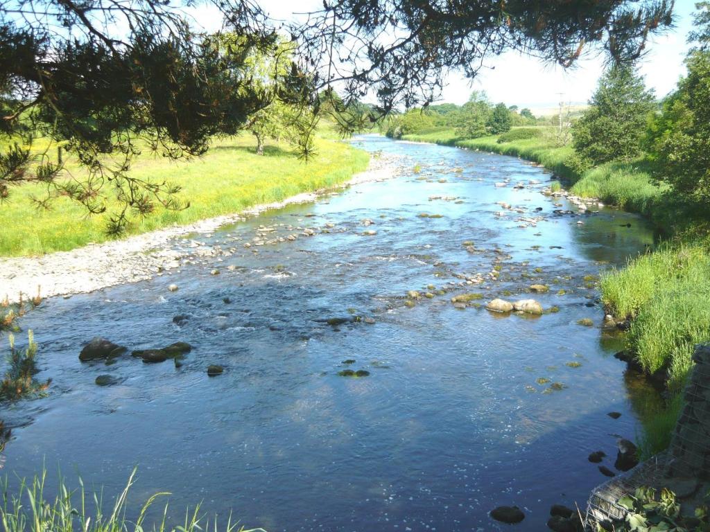 a river with rocks in the water and trees at Nith Riverside Cottages in Sanquhar