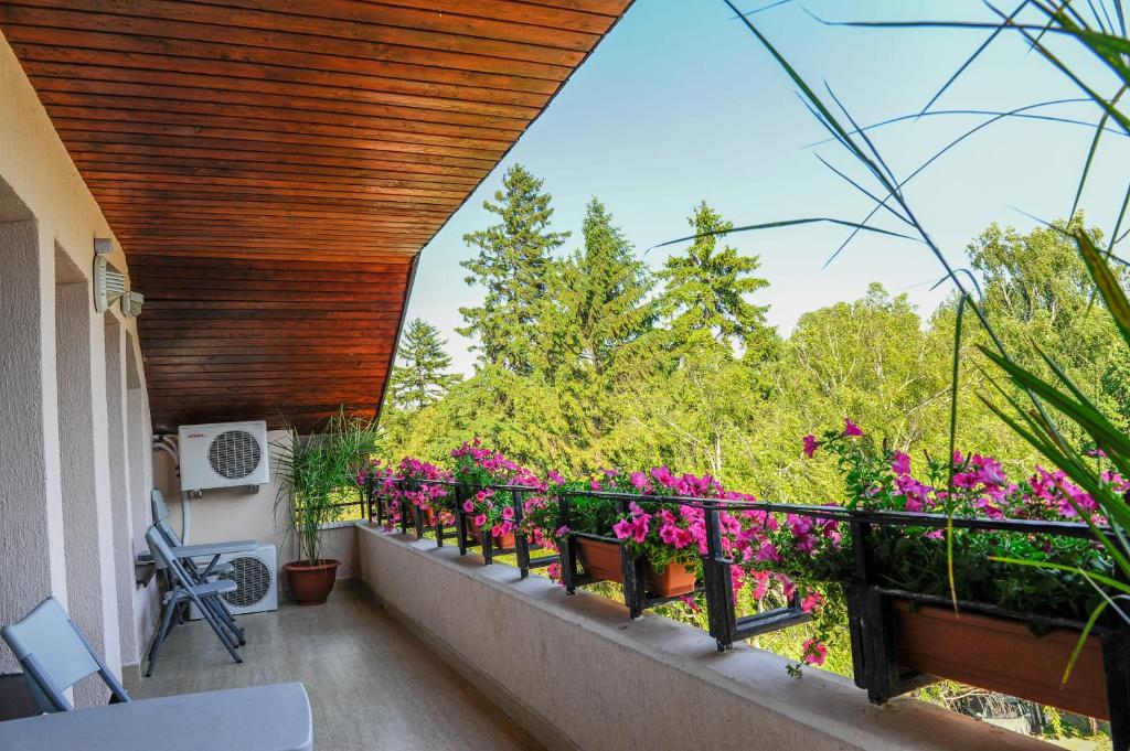 Zahrada ubytování Villa Alice