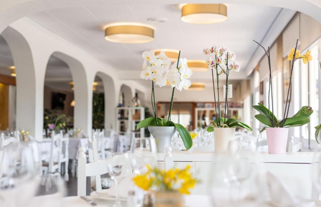 Hotel Ancora, Palamós – Nove cijene za 2022.