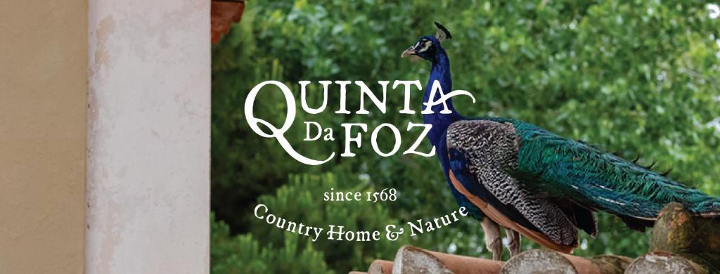 a book with a picture of a peacock at Quinta da Foz in Foz do Arelho