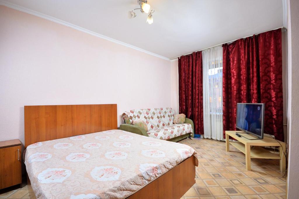 1 dormitorio con cama, sofá y TV en Omsk Sutki Apartments at Pushkina 99 floor 4 en Omsk