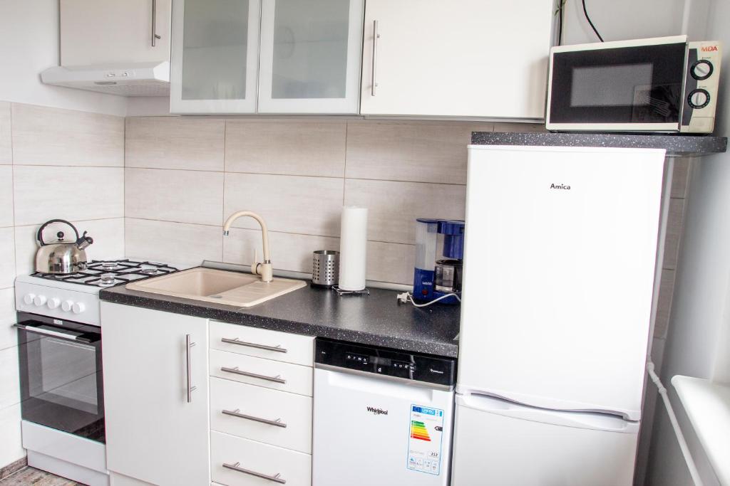 Kuchyňa alebo kuchynka v ubytovaní AL-DOM apartamenty Szary Bursztyn