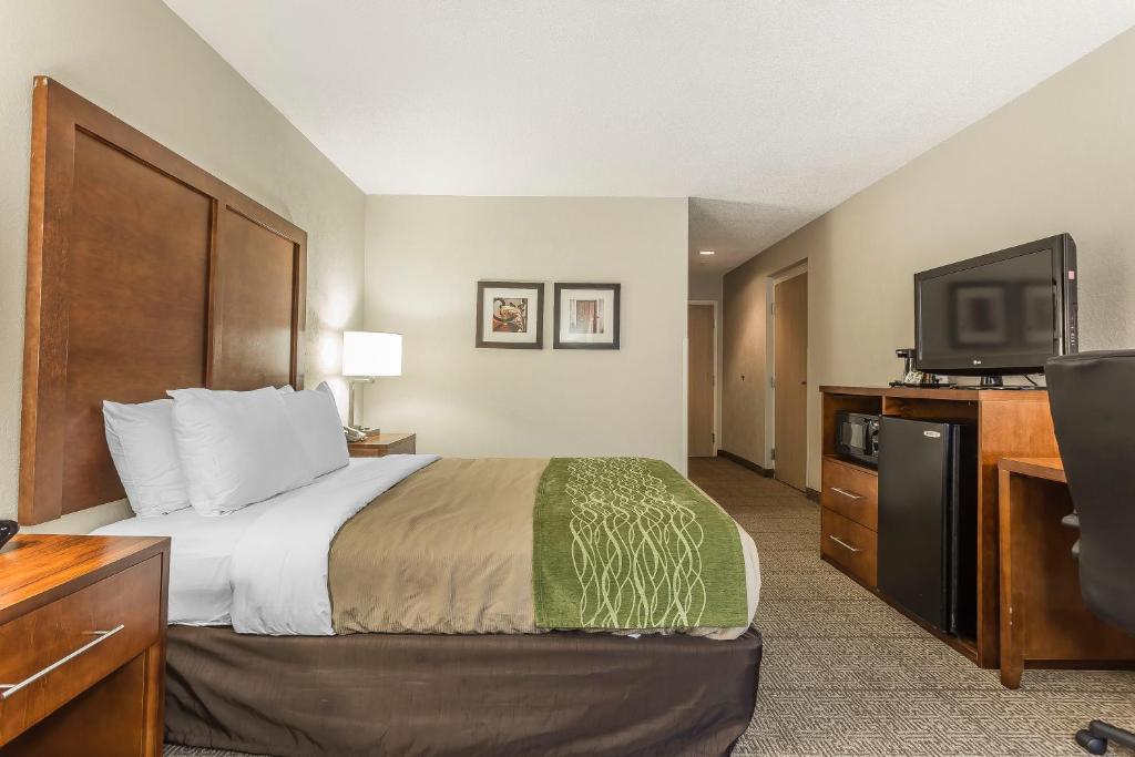 Quality Inn Summerville-Charleston - Queen Room - Accessible/Non-Smoking