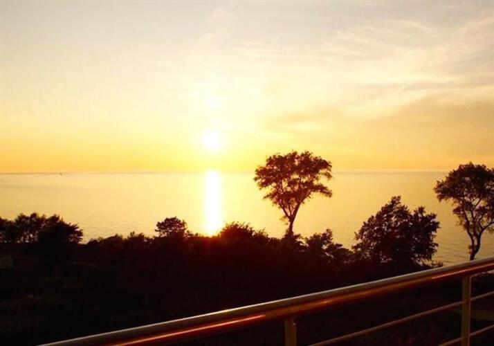 a sunset over a body of water with a tree at APARTAMENT Z WIDOKIEM NA MORZE in Kołobrzeg