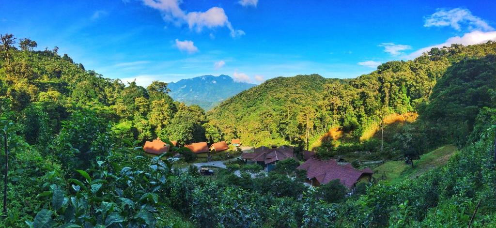Un paisaje natural cerca del hotel