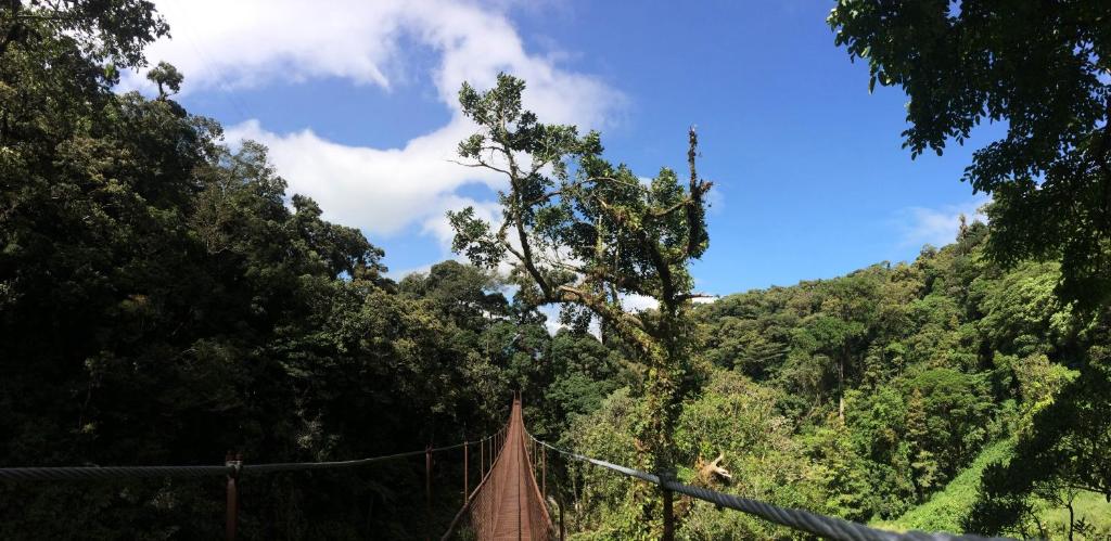 Un paisaje natural cerca del hotel