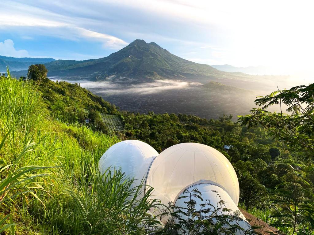 Basecamp Bali - Eco Luxury Bubble Hotel