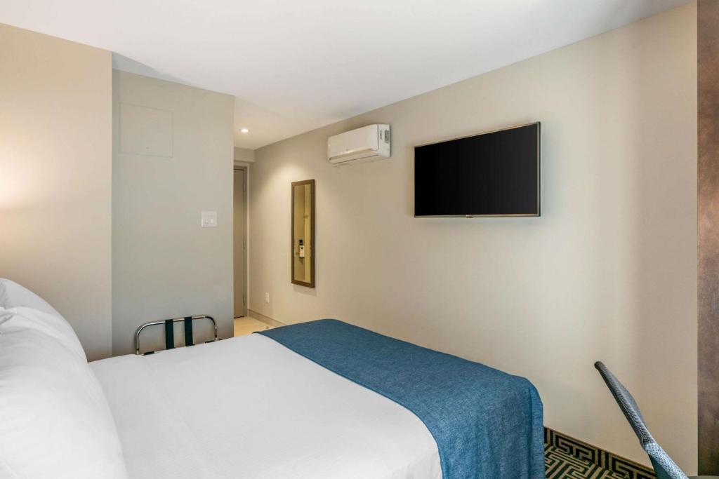 TV a/nebo společenská místnost v ubytování Quality Inn Centre-Ville