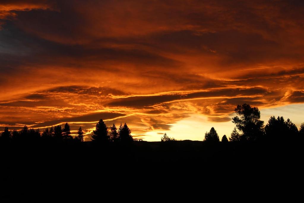 einen Sonnenuntergang über einem Feld mit Bäumen im Vordergrund in der Unterkunft Sunset Chalet in Lake Tekapo