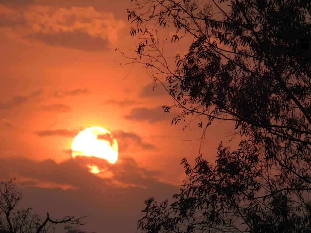  Vinícola Vale do Vinho