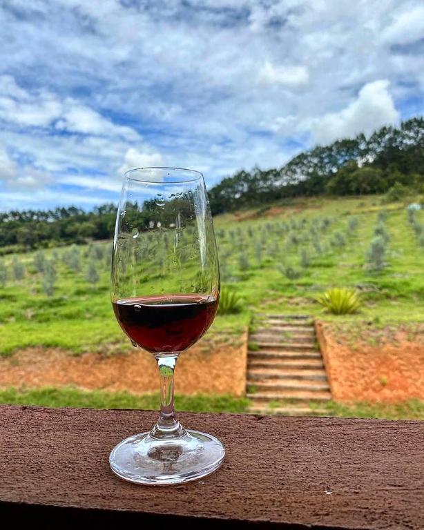  Vinícola Vale do Vinho