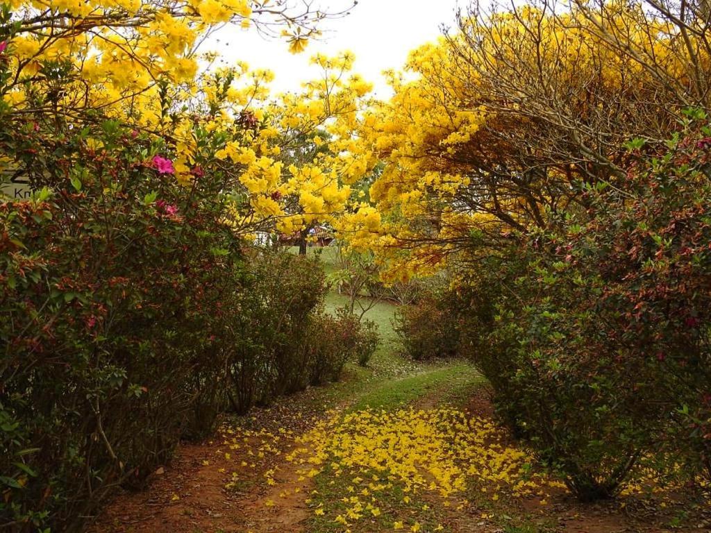  Vinícola Vale do Vinho