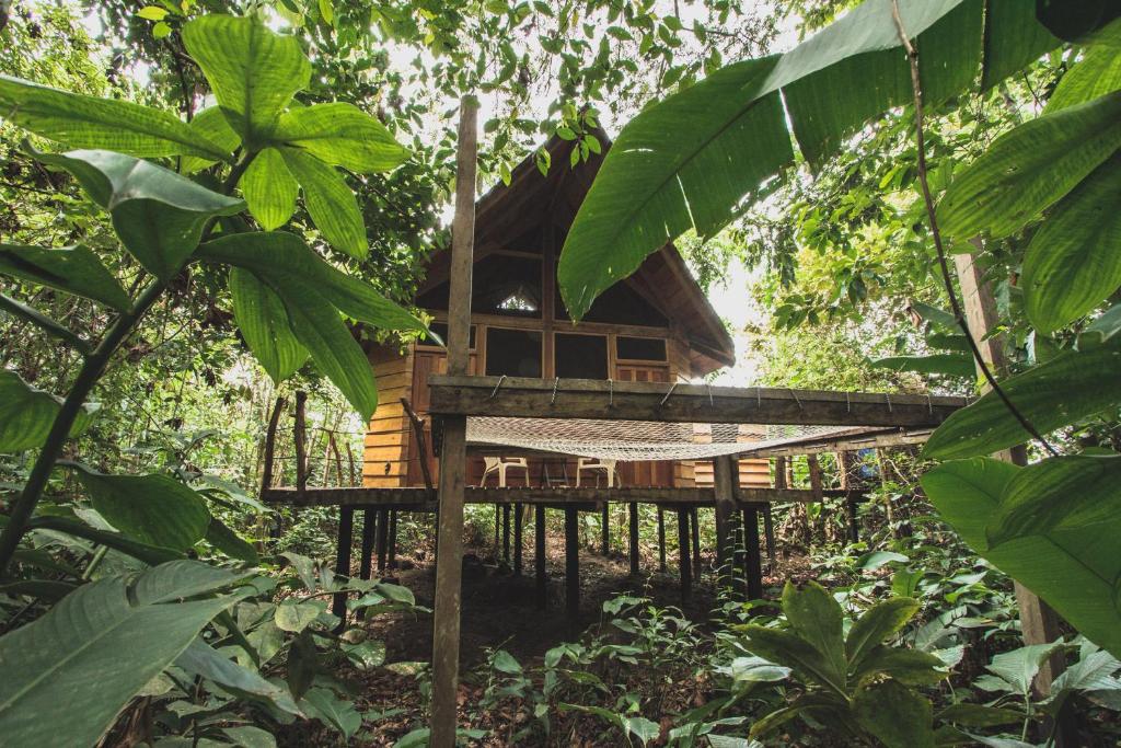 Zahrada ubytování La Manigua Lodge