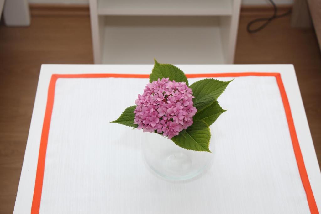 Rooms Butković - 13