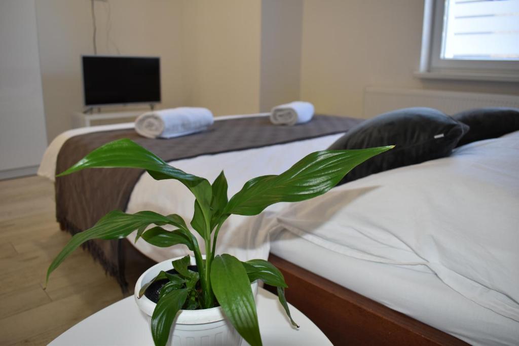 Posteľ alebo postele v izbe v ubytovaní Room & 4 Studios - Modern Comfy Central - FREE Netflix
