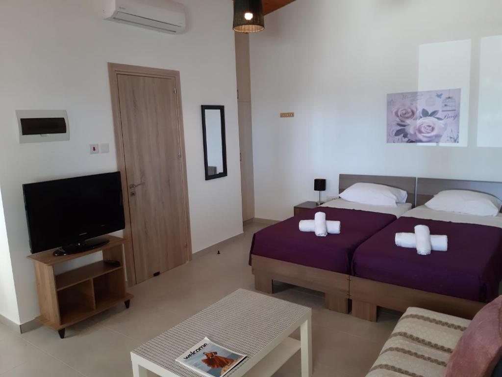 a bedroom with a bed and a tv and a couch at ZORBAS Sea View No 5 in Larnaka