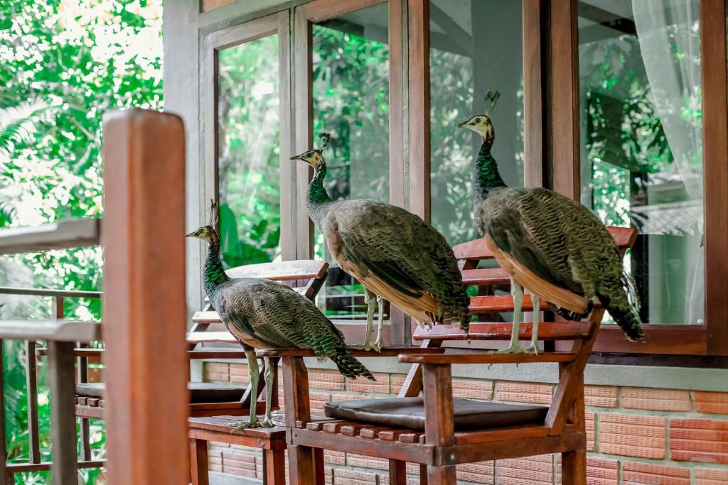 奥南海滩The Vatika Resort and Spa的相册照片