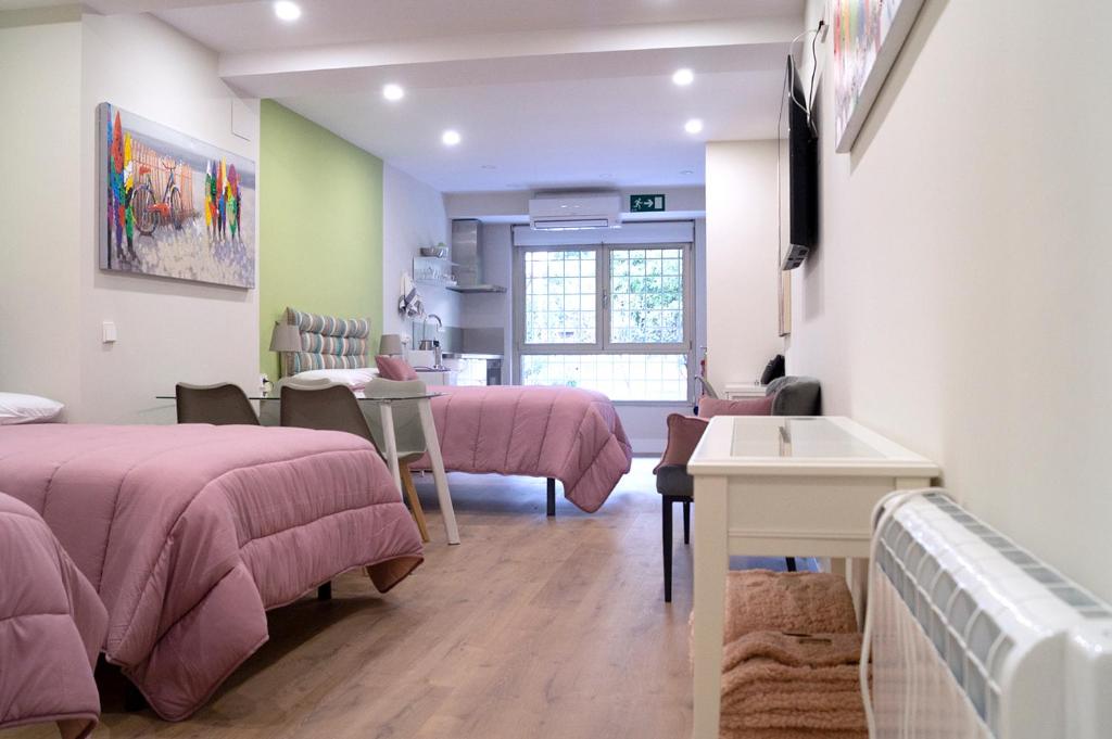 Moncloa room apartments - Studio Apartment